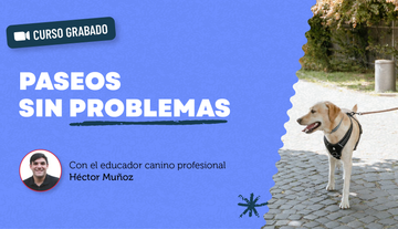 Curso Grabado: Paseos sin Problemas