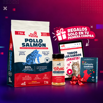 PetFamily Foods Gato Pollo-Salmón