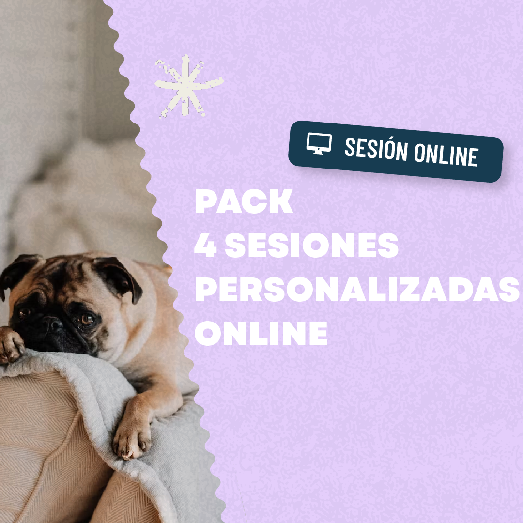 Pack 4 Sesiones  Online