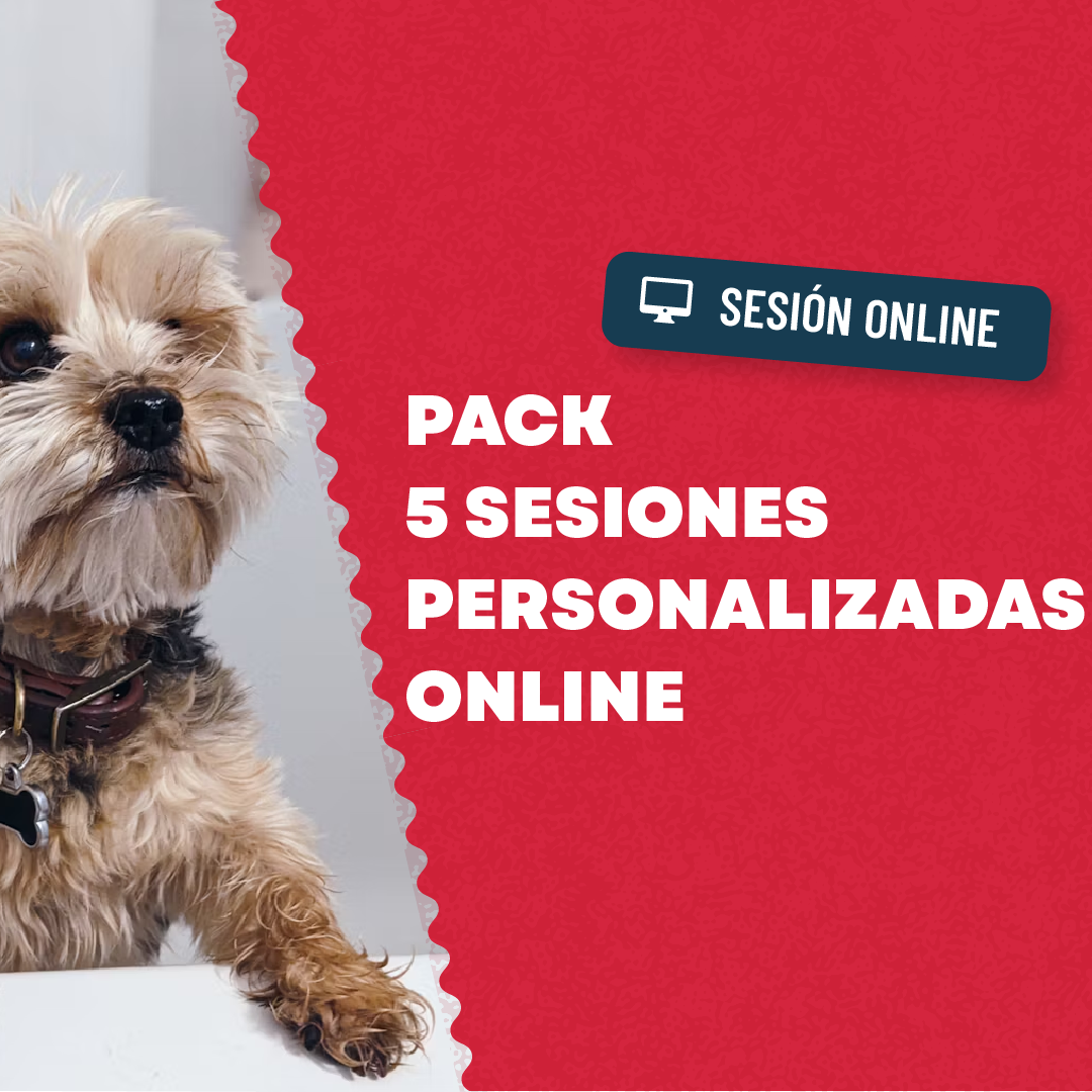 Pack 5 Sesiones  Online